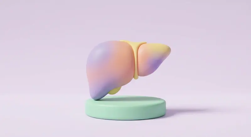 Forme d'organe stylisée en pâte pastel sur un socle
